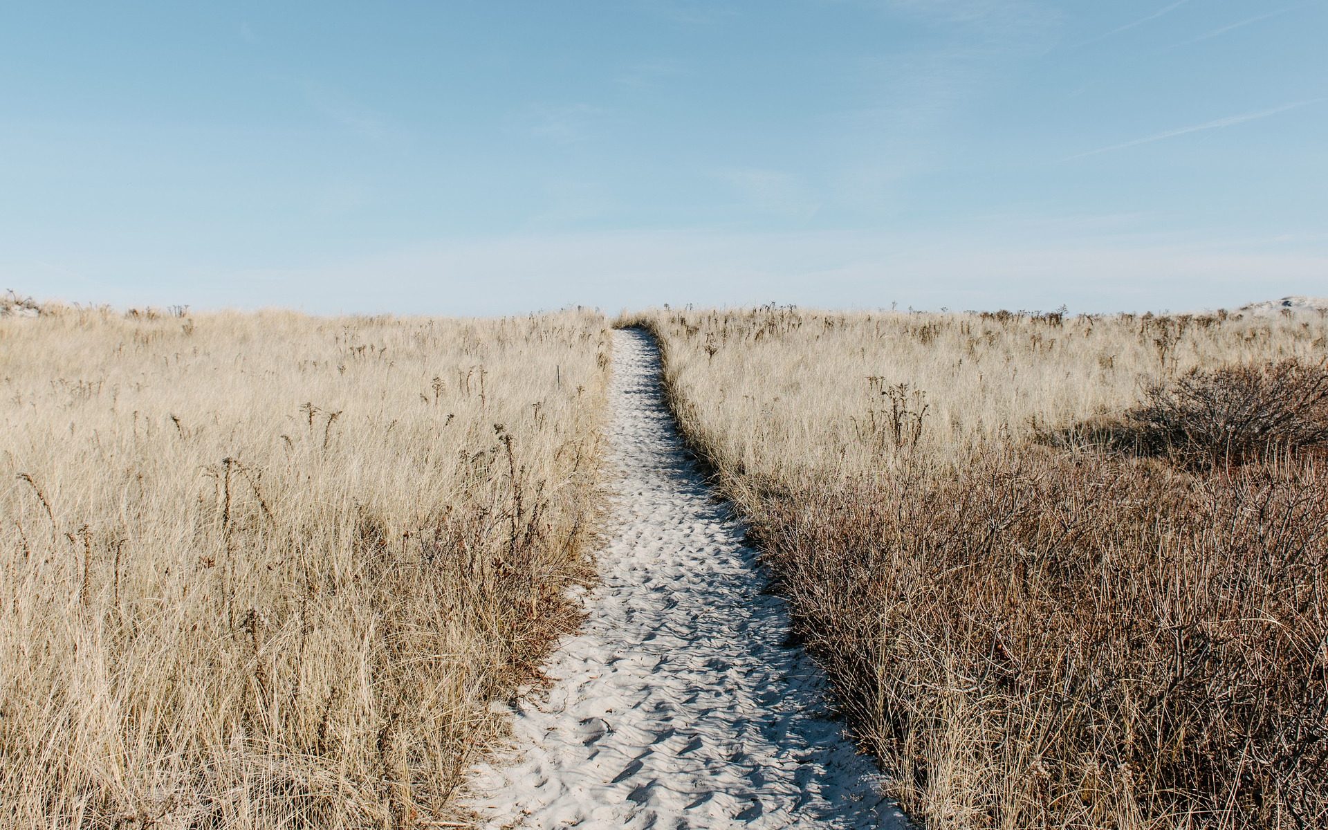 A path through the prairie.